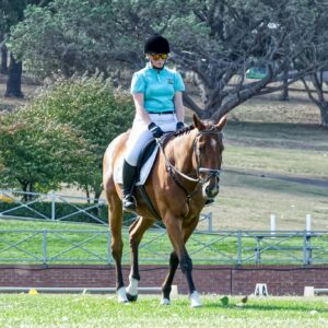 Female equestrian riding a horse in a scenic park setting on a clear day.